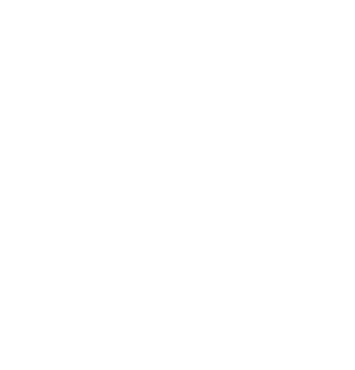 C++